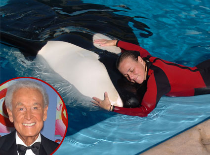 Dawn Brancheau, Sea World, Bob Barker Dawn Brancheau, Sea World, Bob Barker
